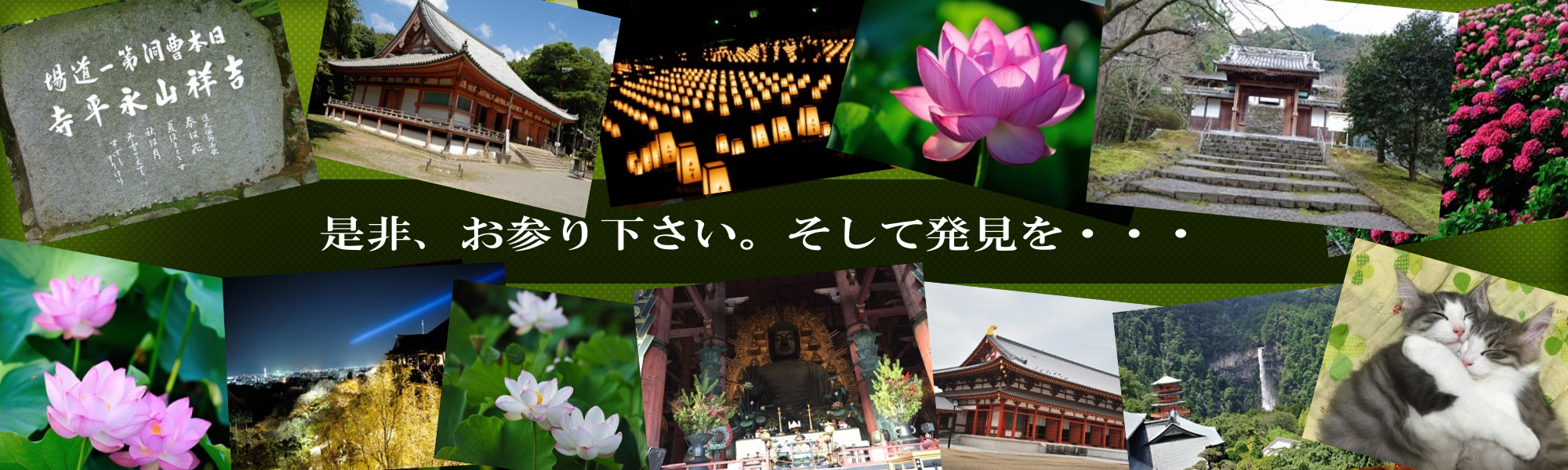 メインイメージ3