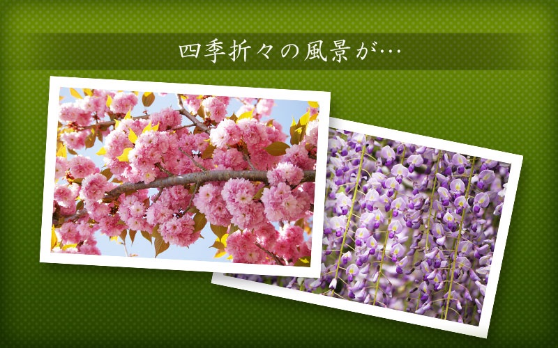 メインイメージ2s