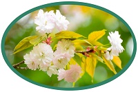 奈良県