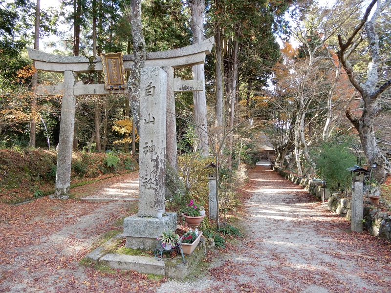 長寿寺