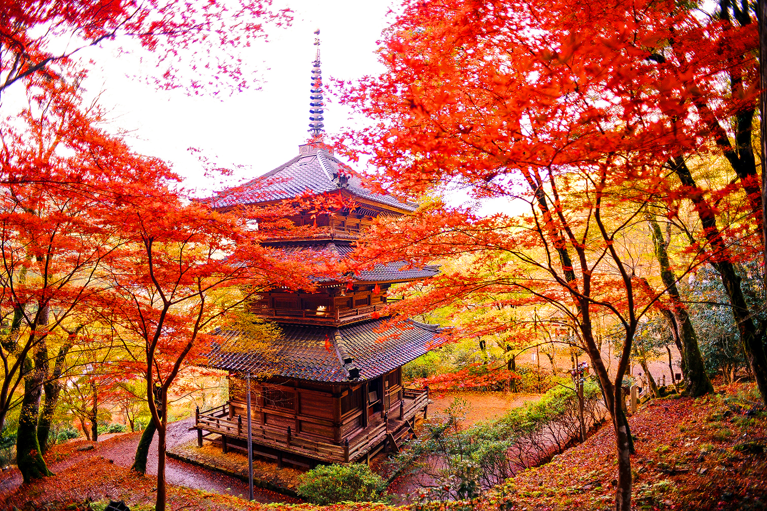 高源寺(こうげんじ)