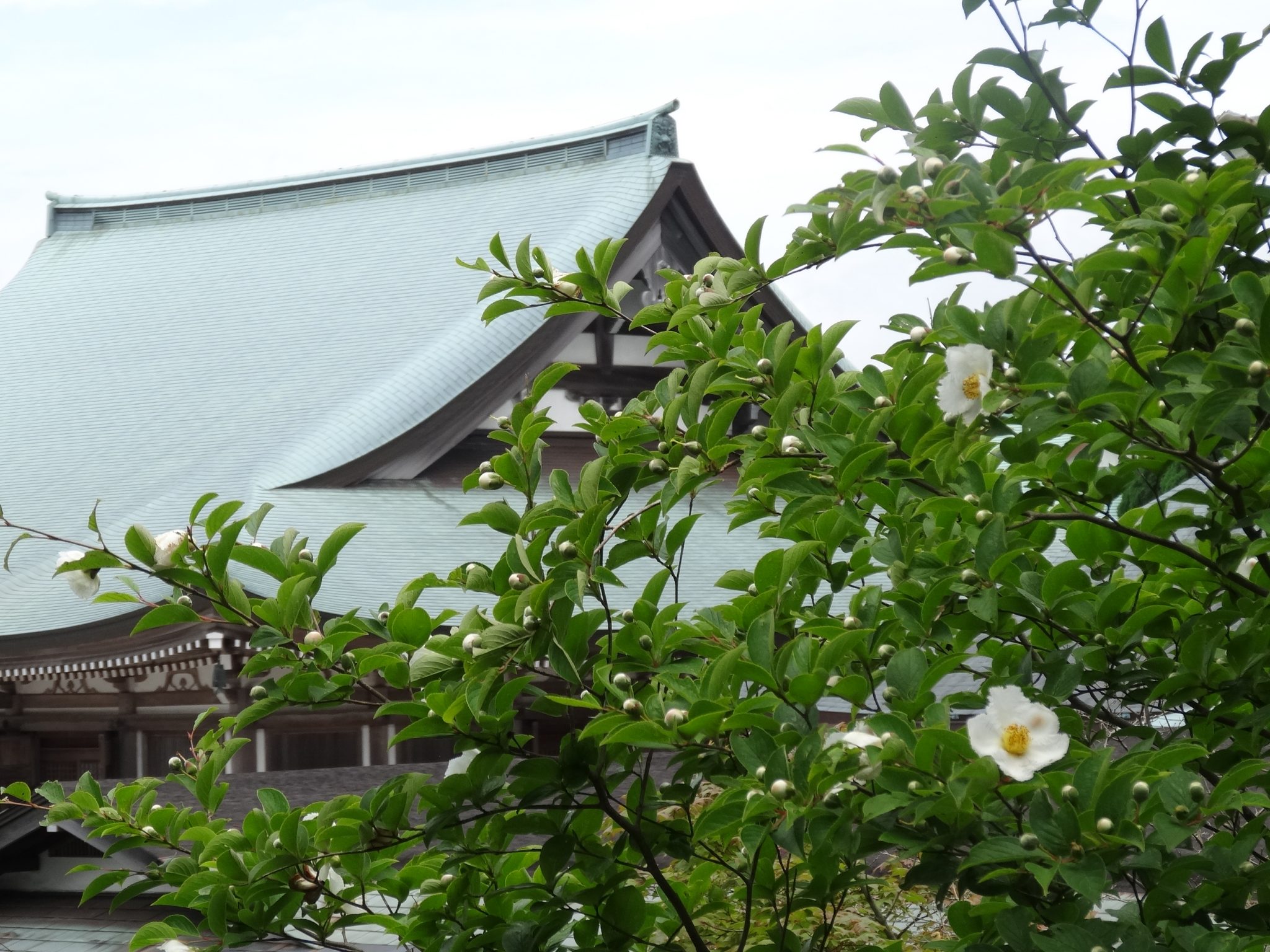 天上寺(まやさんてんじょうじ)
