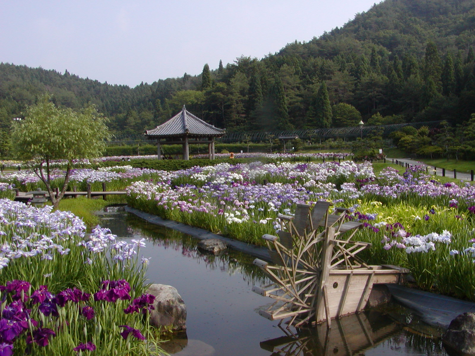 永澤寺(ようたくじ)