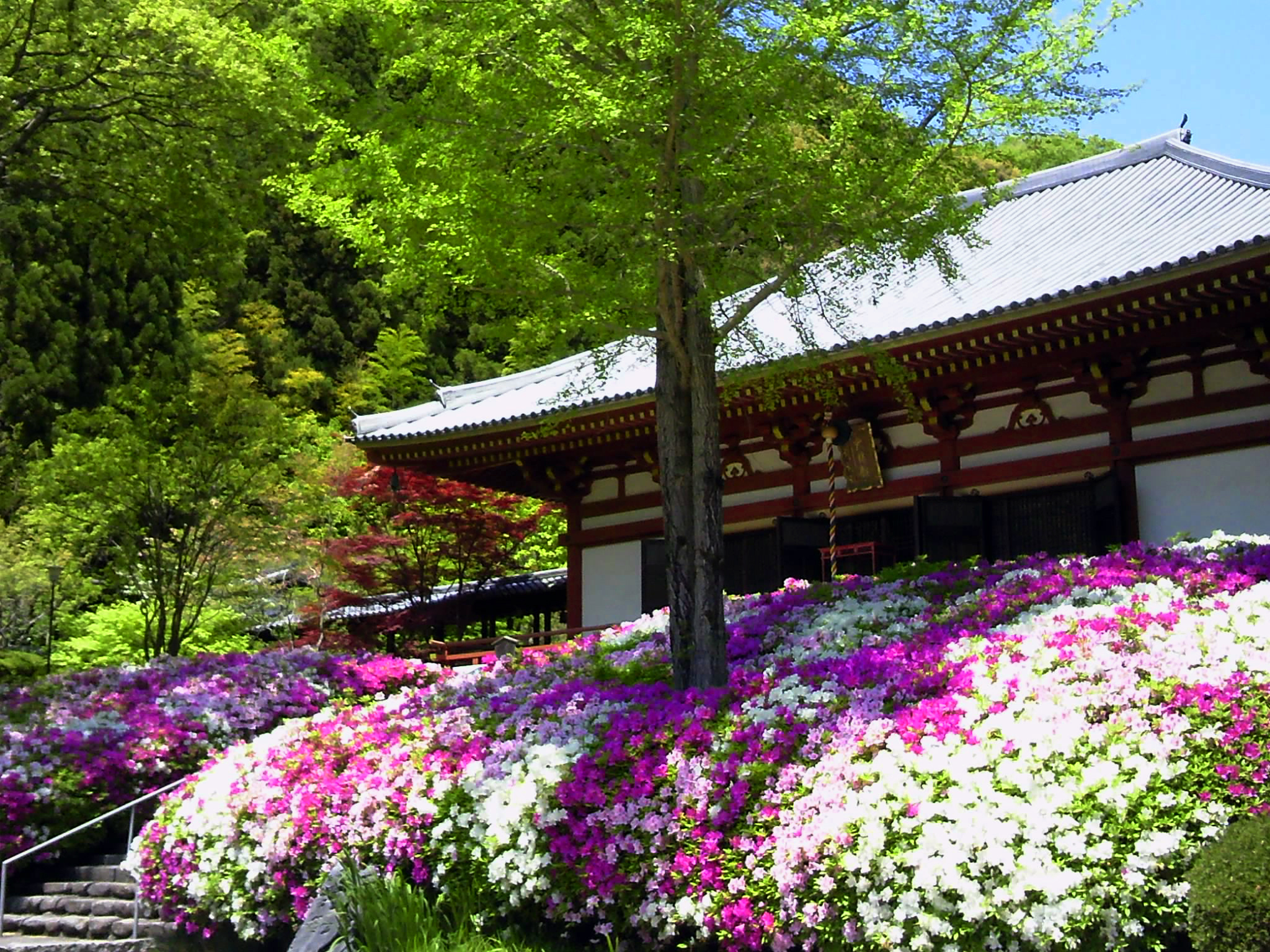 久安寺(きゅうあんじ)