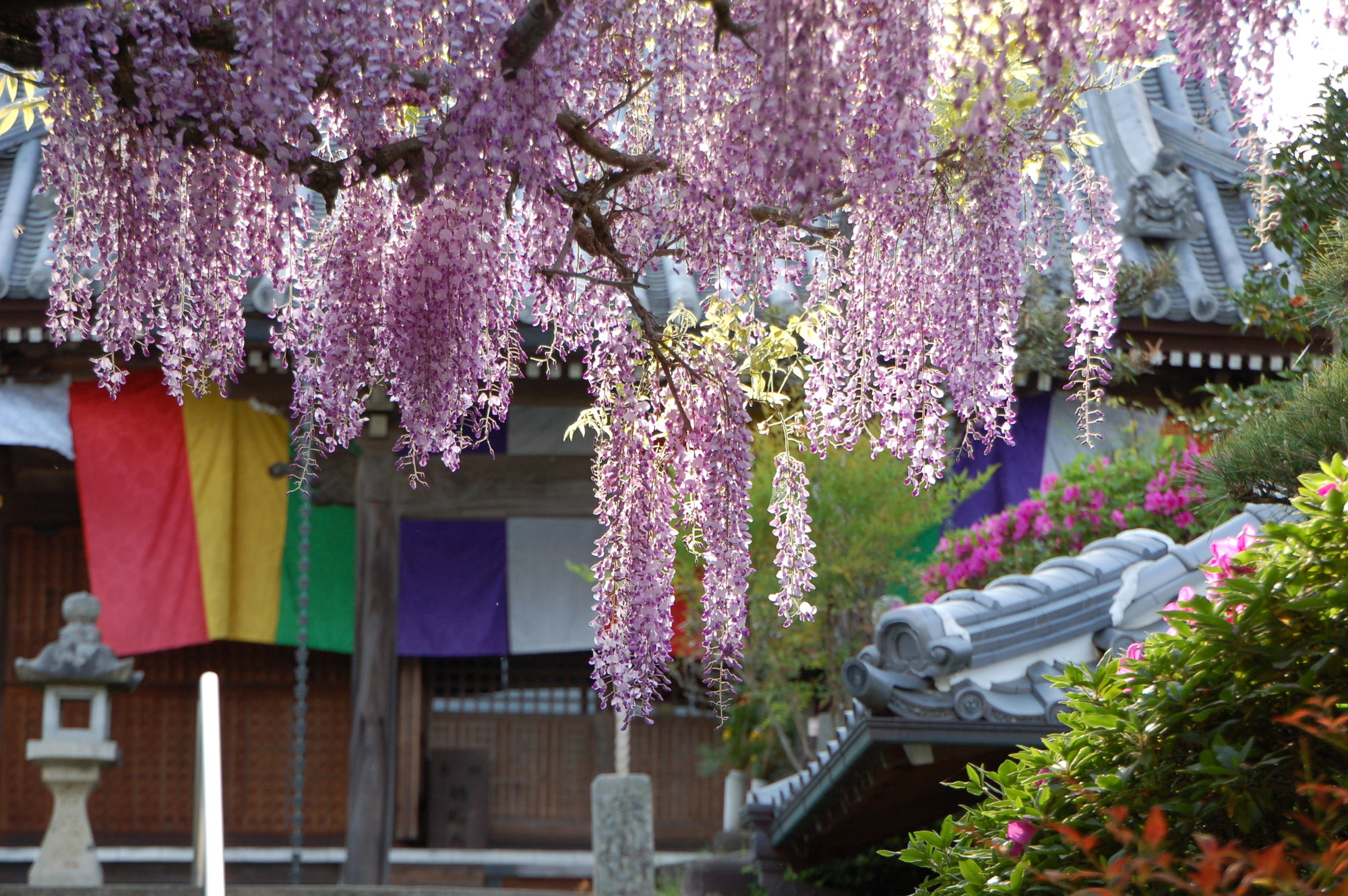 子安地蔵寺(こやすじぞうじ)