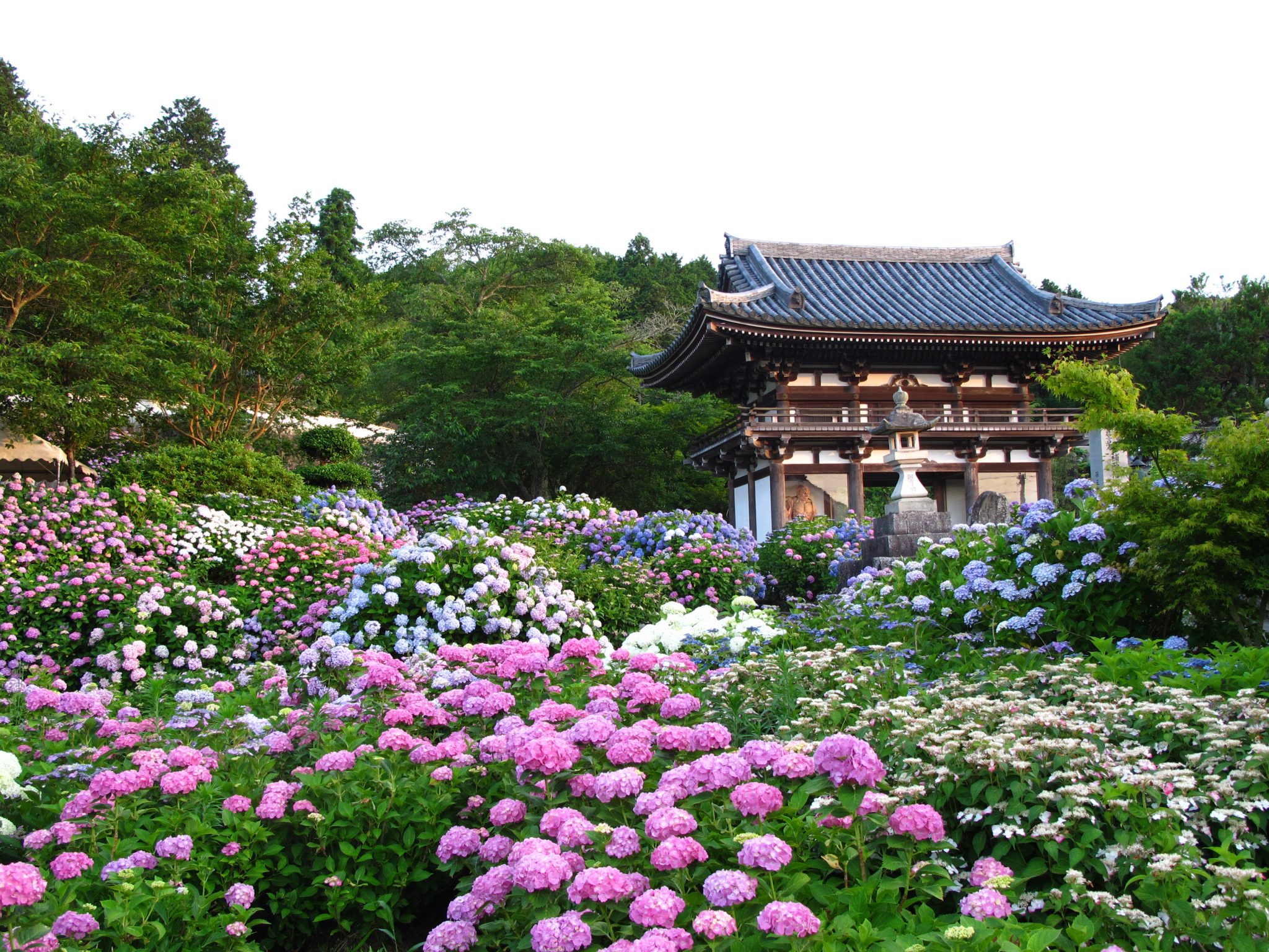 丹州觀音寺(たんしゅうかんのんじ)