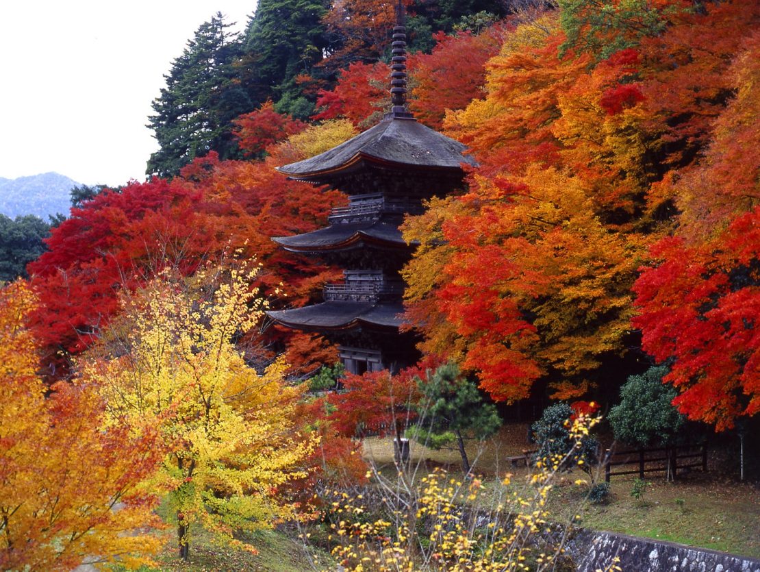 金剛院(こんごういん)