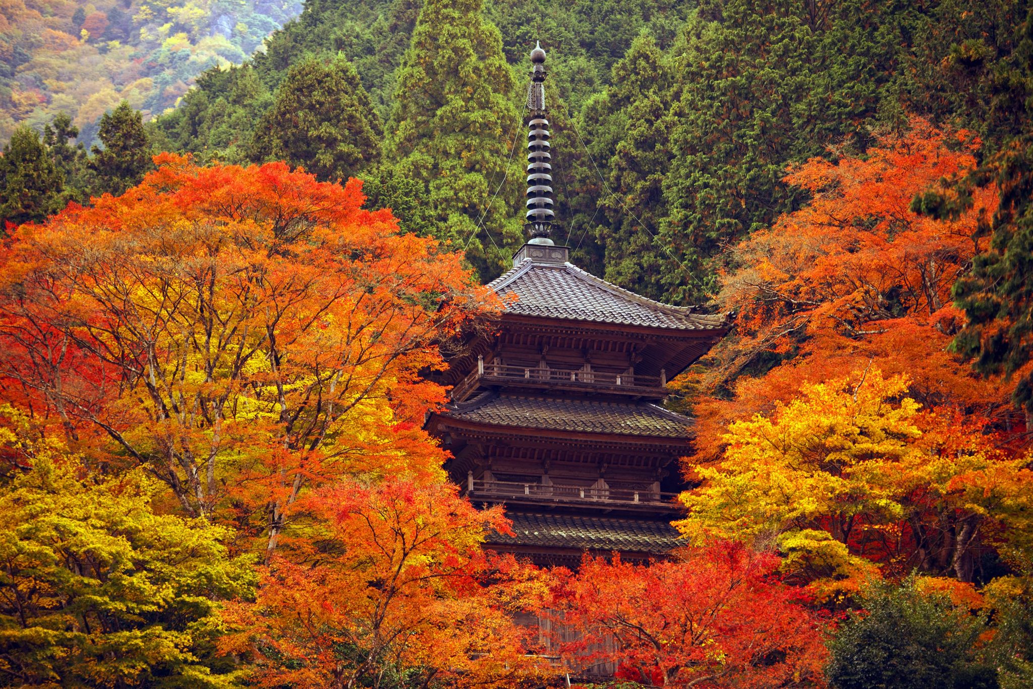 高源寺