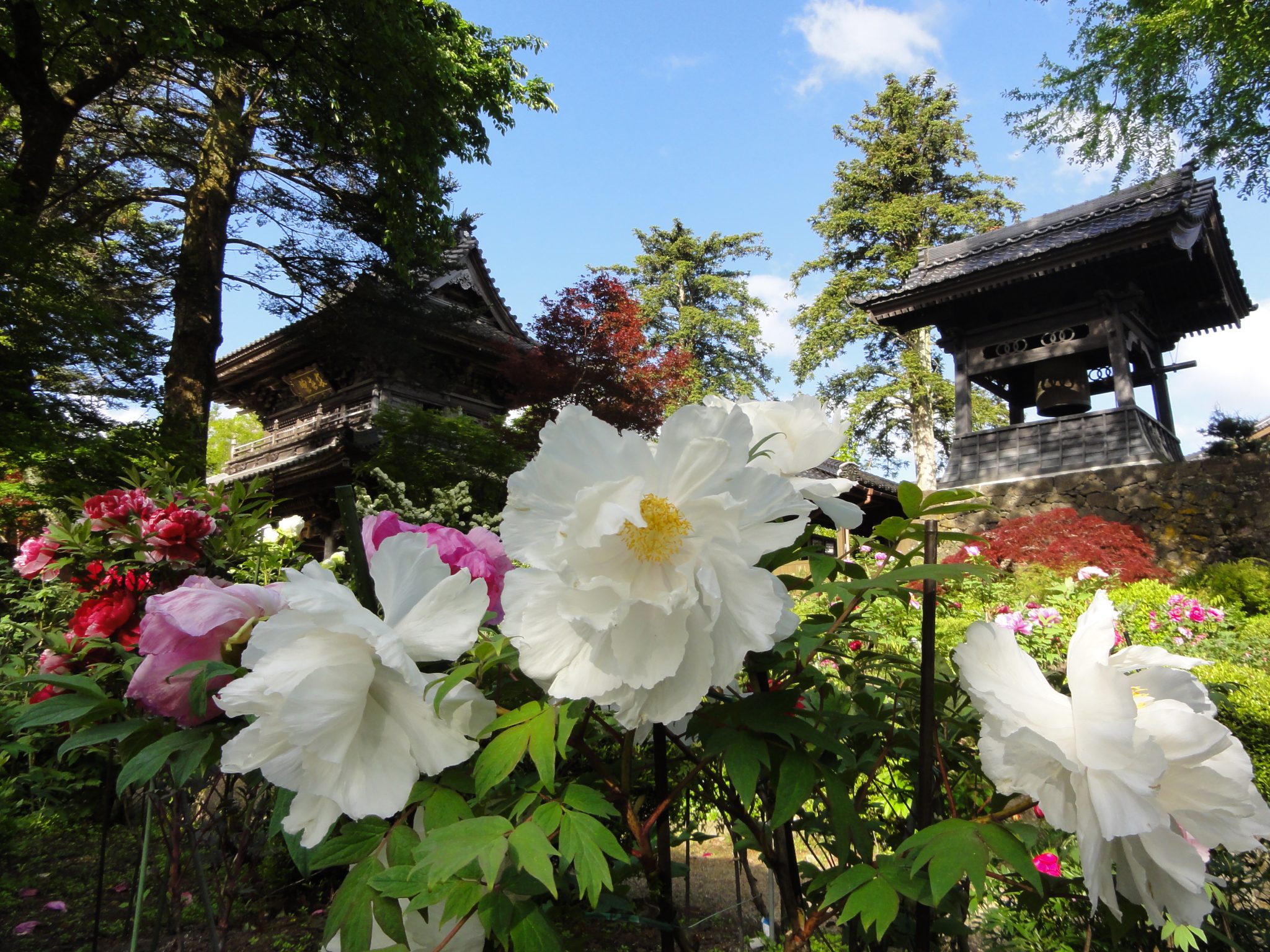 隆国寺(りゅうこくじ)