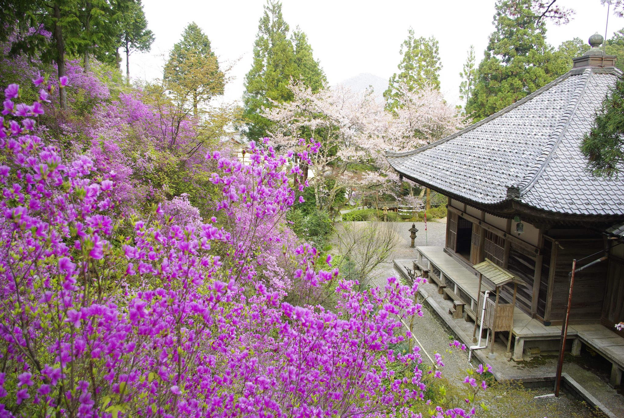 如意寺(にょいじ)