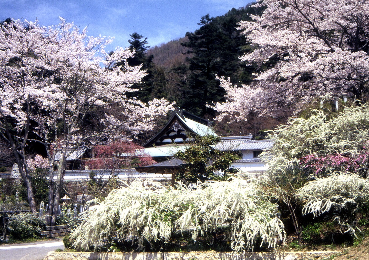 應聖寺(おうしょうじ)
