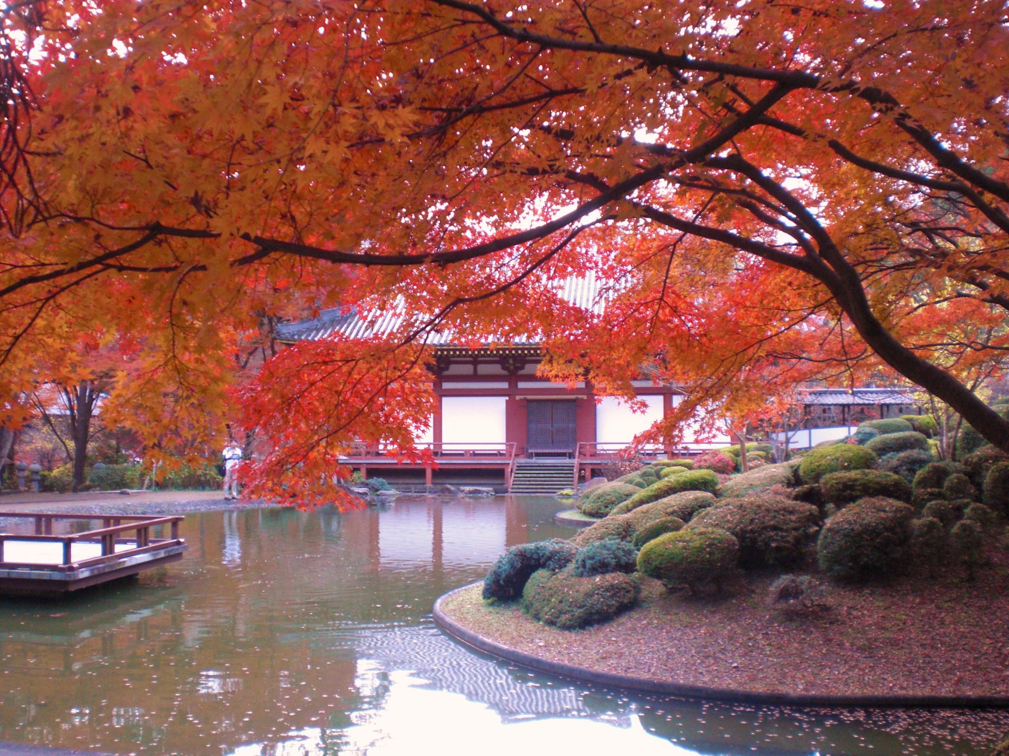 久安寺(きゅうあんじ)