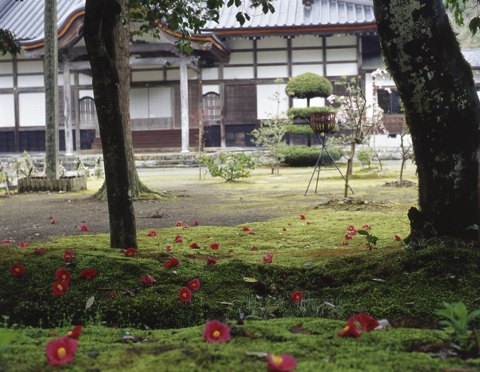 興聖寺(こうしょうじ)