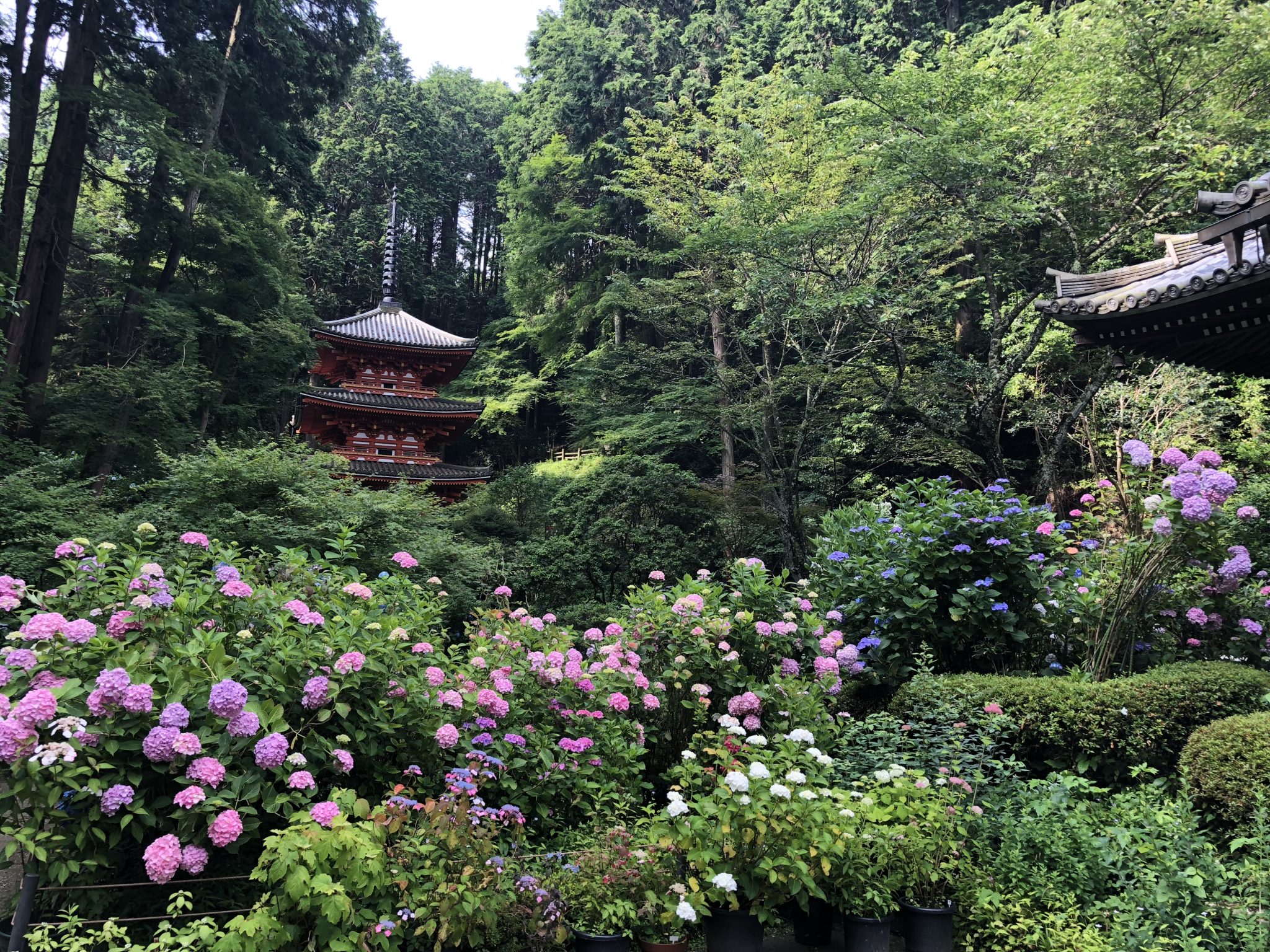 岩船寺(がんせんじ)