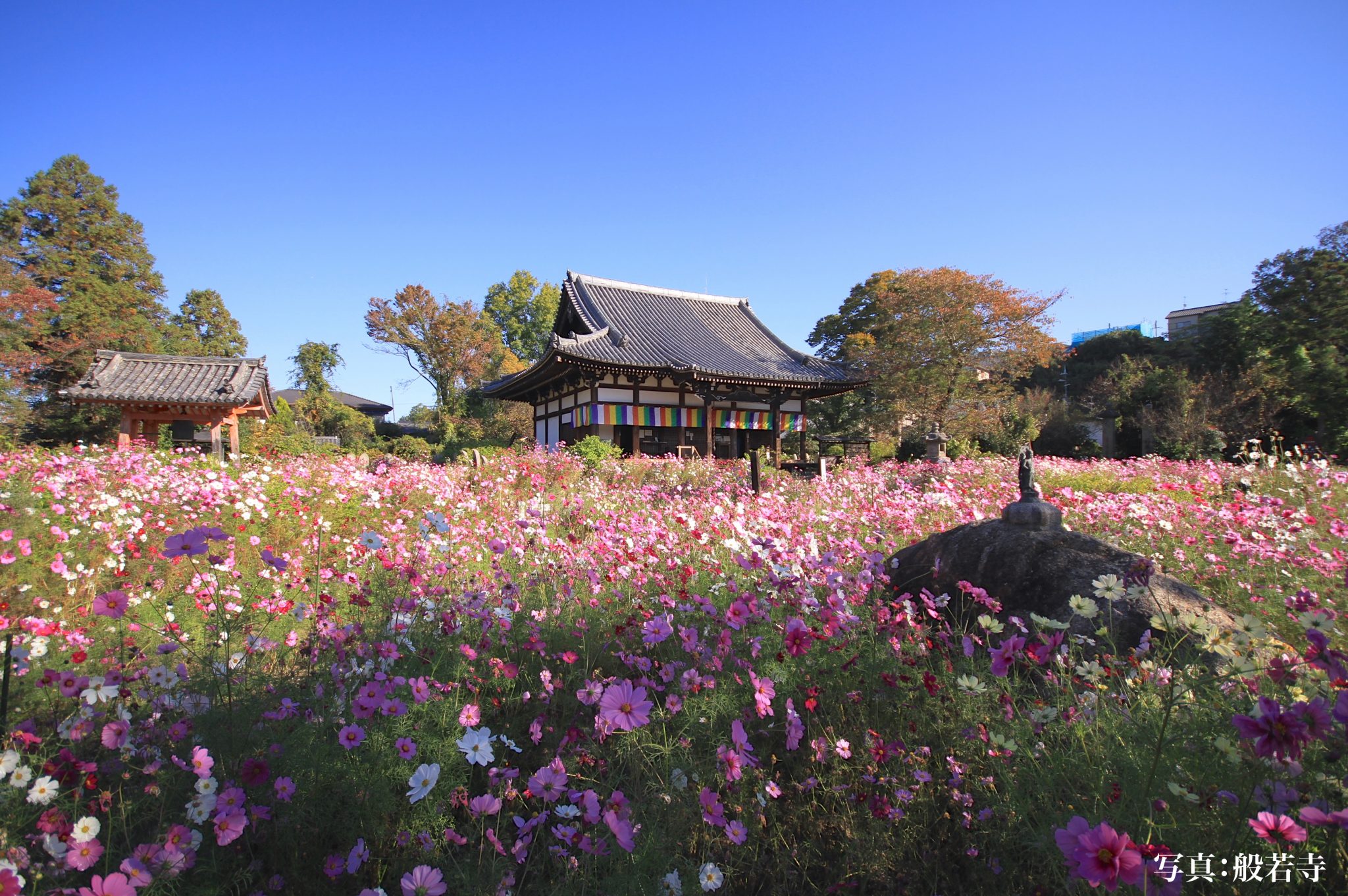 般若寺(はんにゃじ)