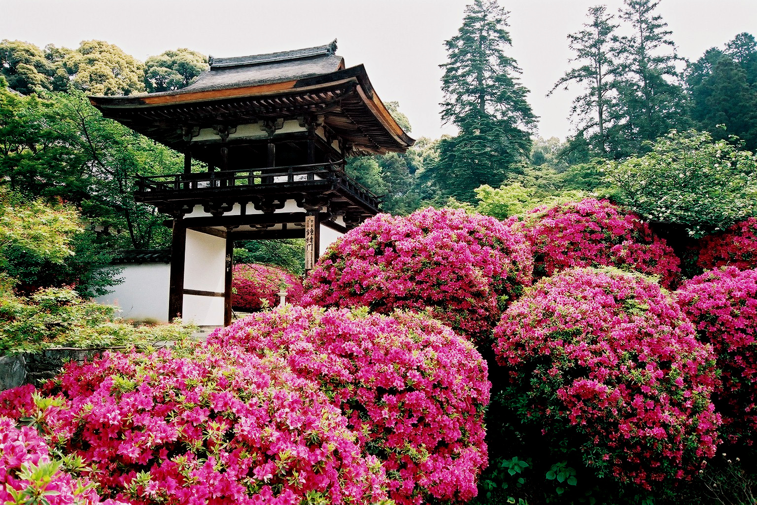 長岳寺(ちょうがくじ)