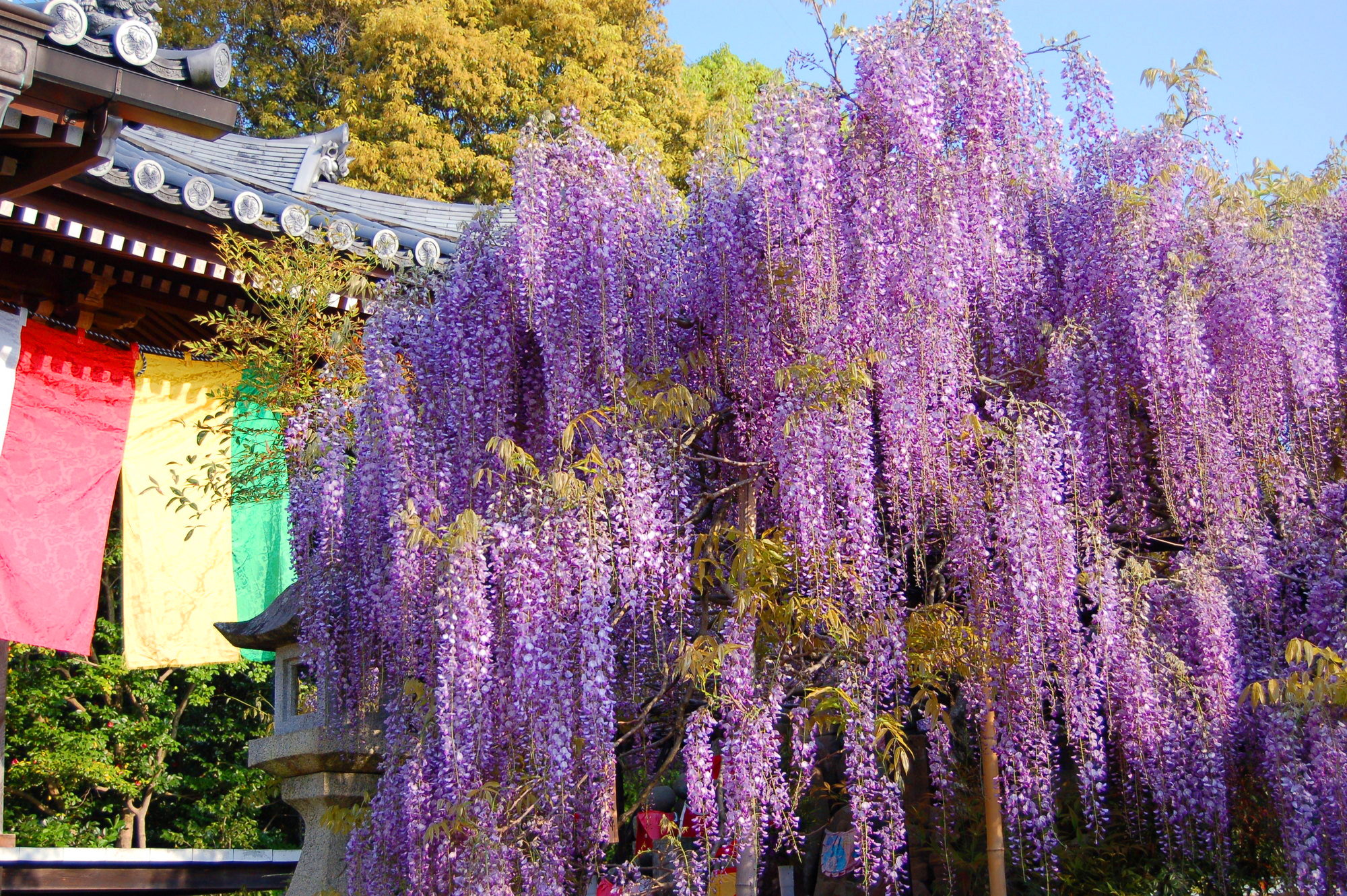 子安地蔵寺(こやすじぞうじ)