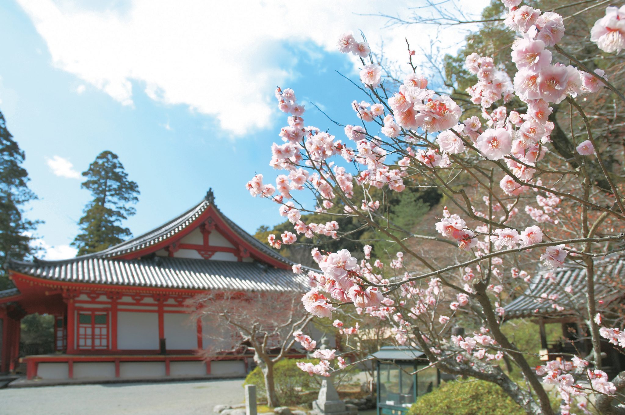興聖寺(こうしょうじ)