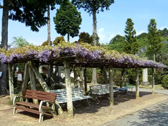 浄土寺