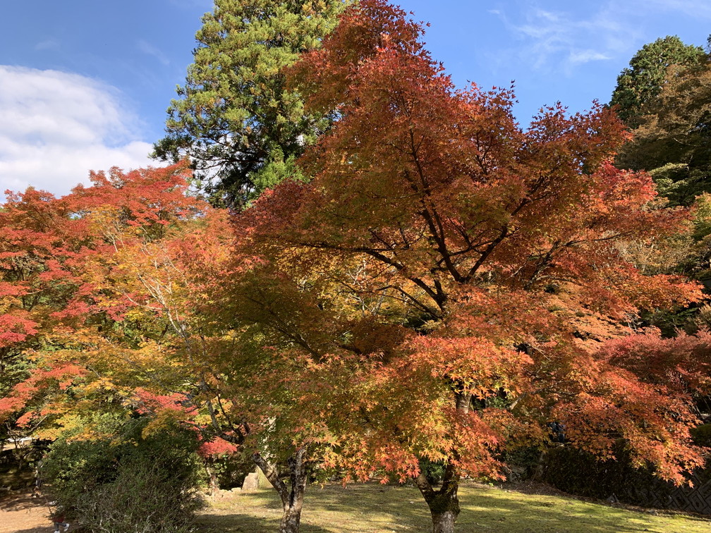 高源寺