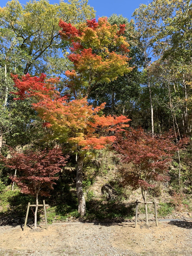 光明寺
