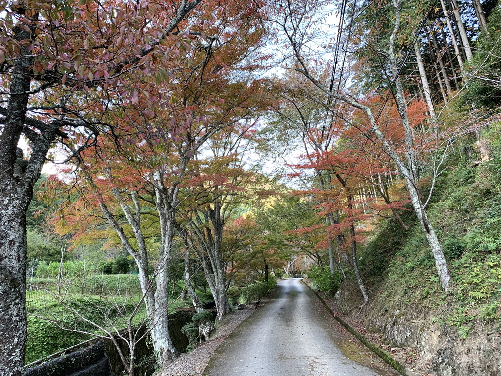 高蔵寺