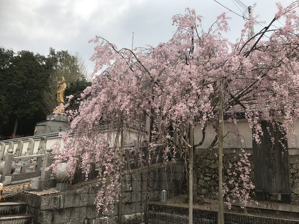 太福寺