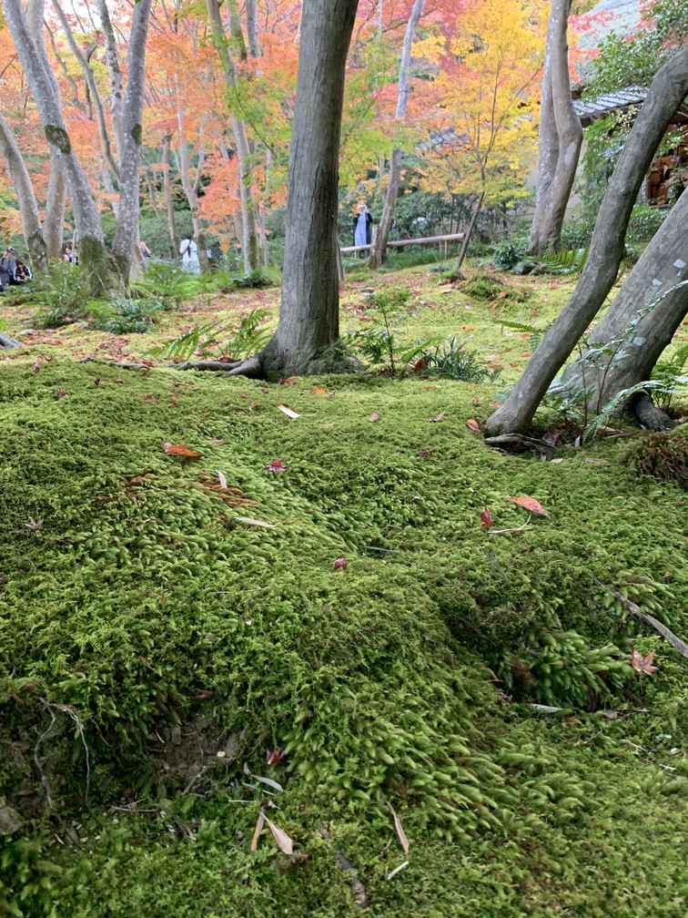 化野念仏寺