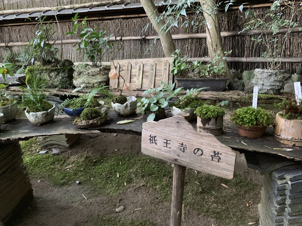 祇王寺