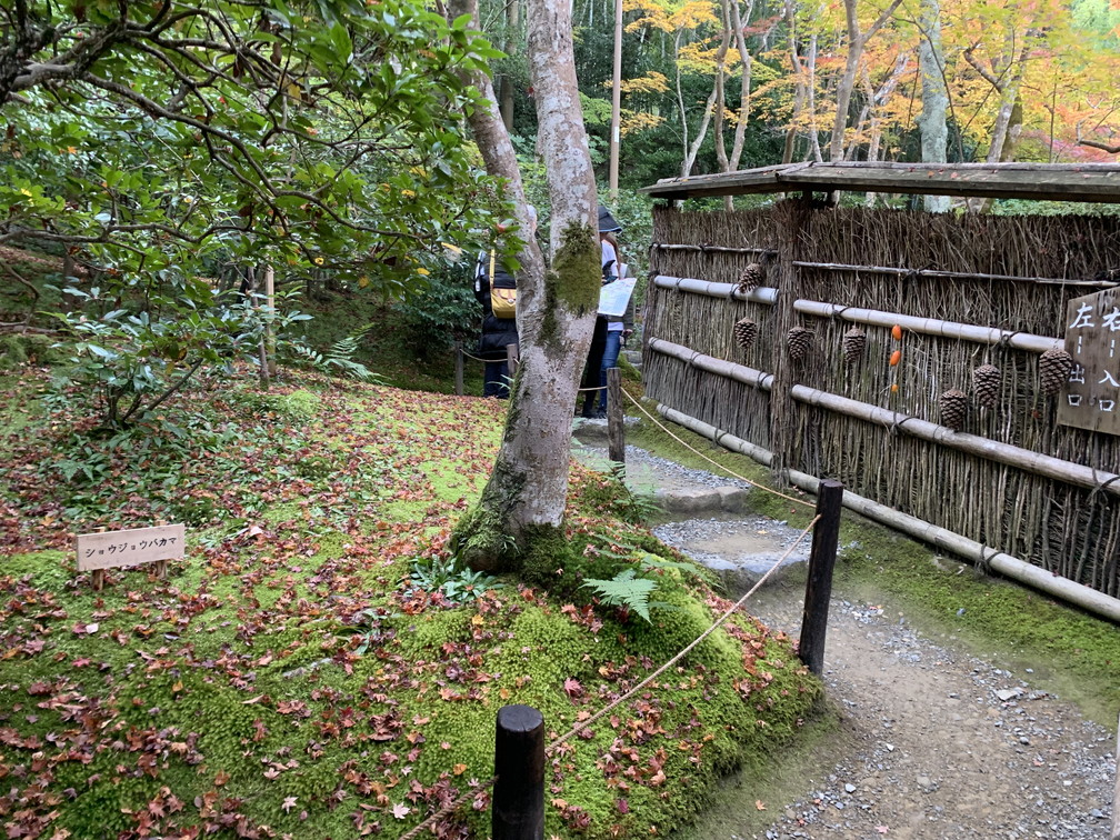 祇王寺