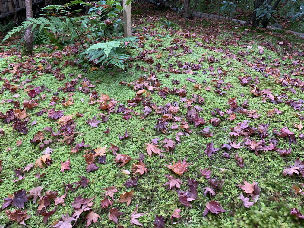 祇王寺