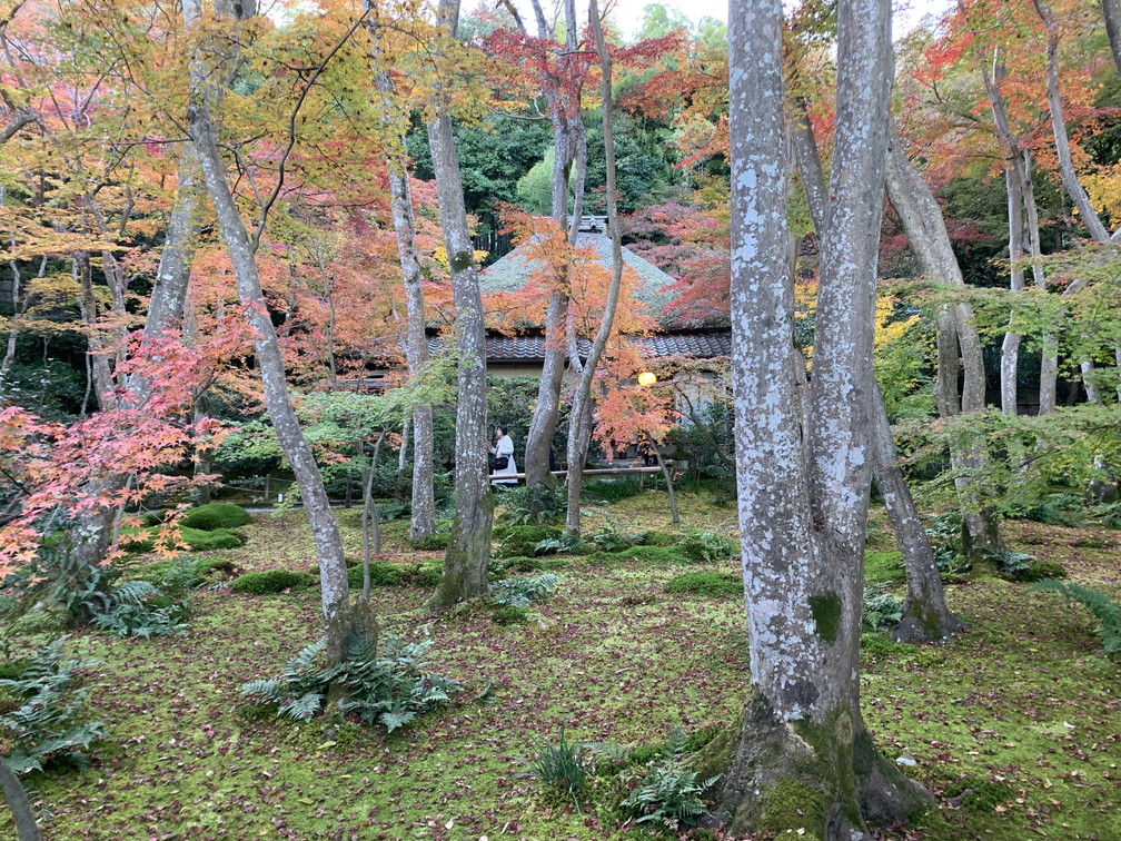 祇王寺
