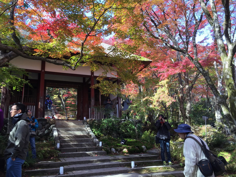 常寂光寺(じょうじゃっこうじ)