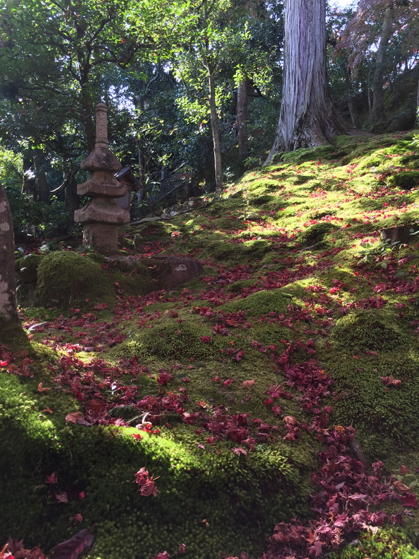 常寂光寺