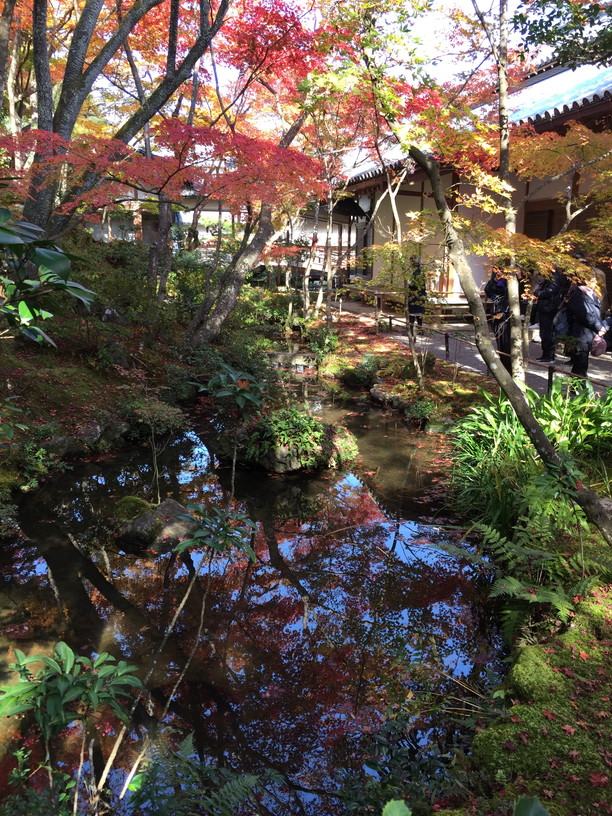 常寂光寺