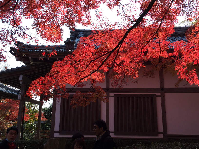 常寂光寺