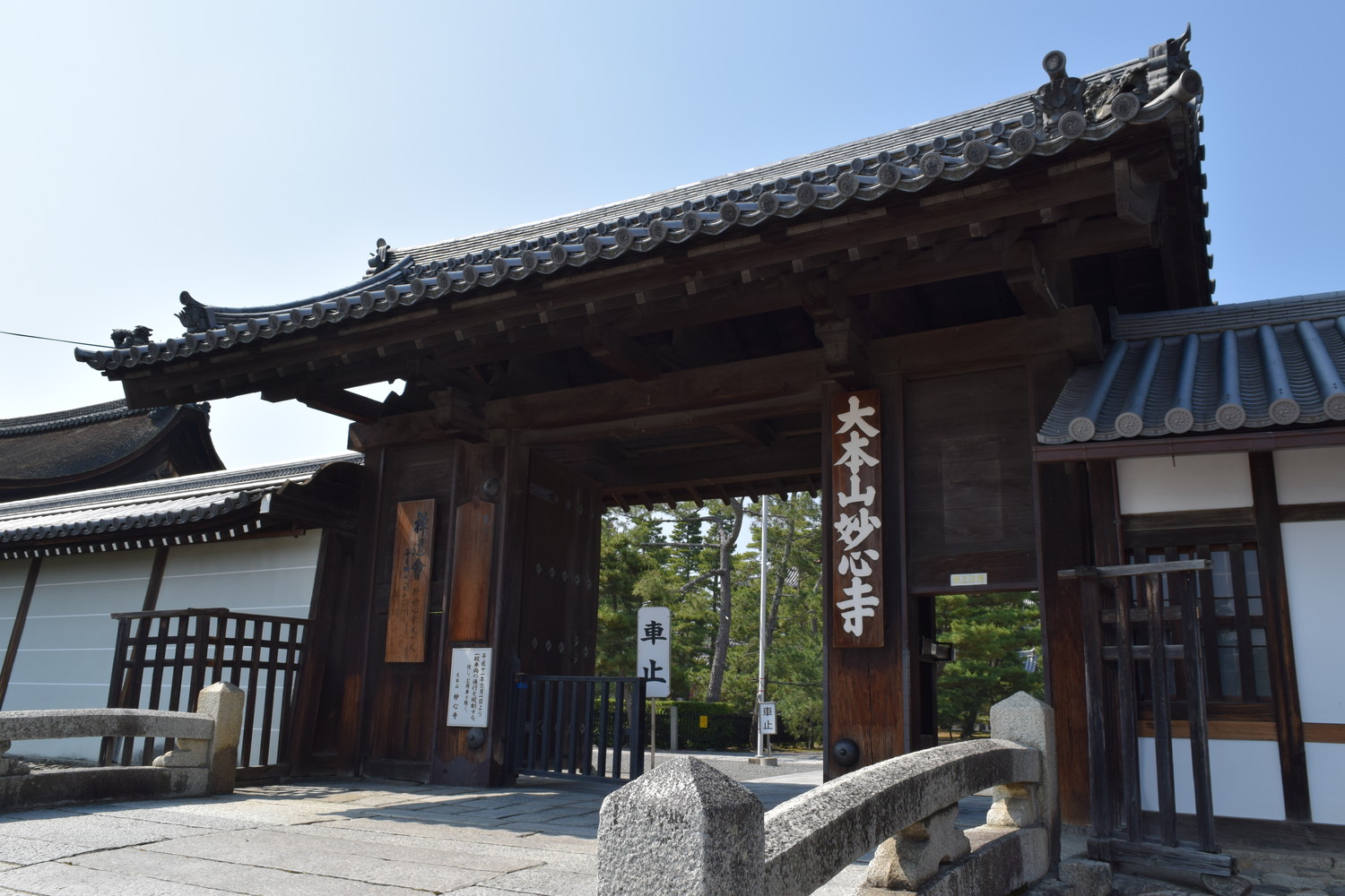 妙心寺(みょうしんじ)