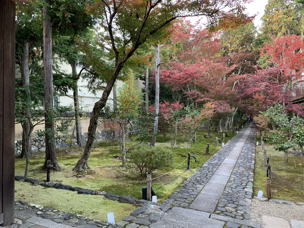 鹿王院
