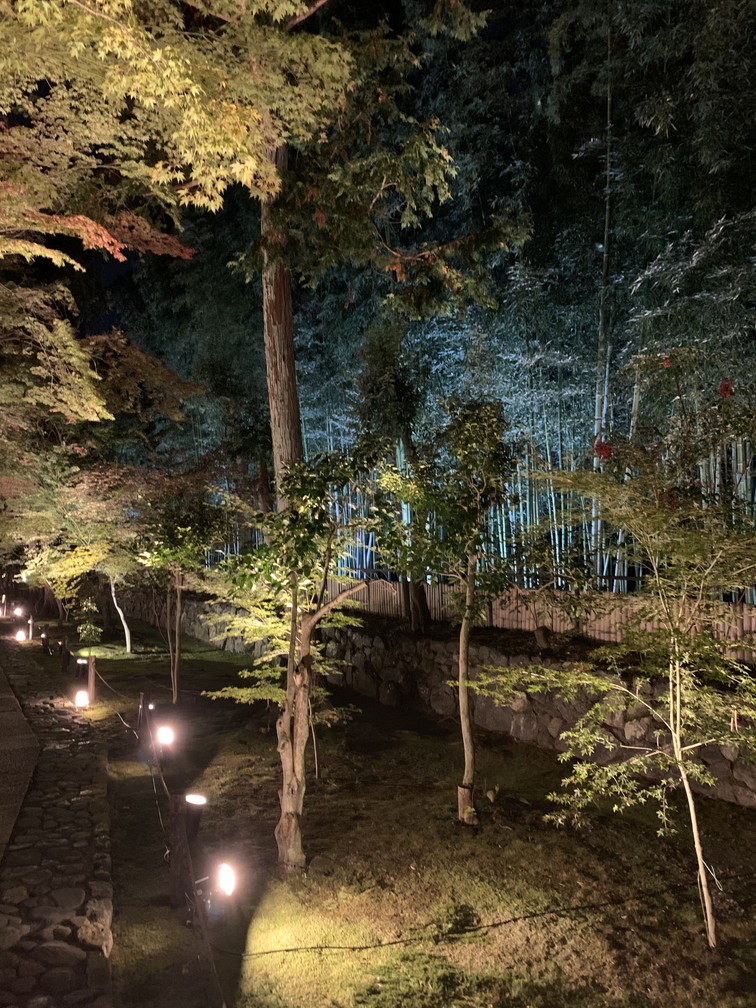 鹿王院
