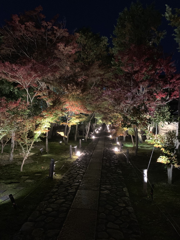 鹿王院
