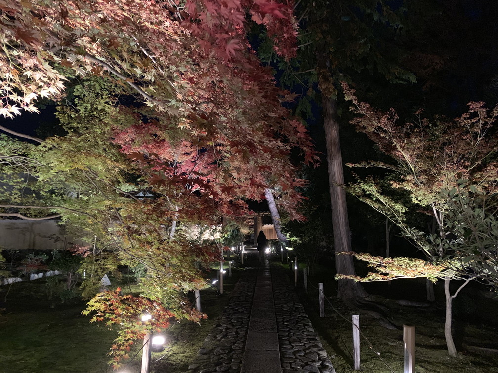 鹿王院