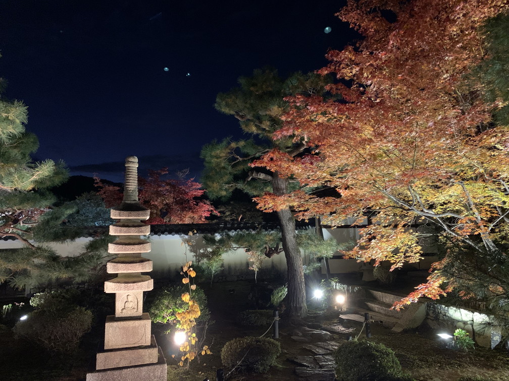 鹿王院