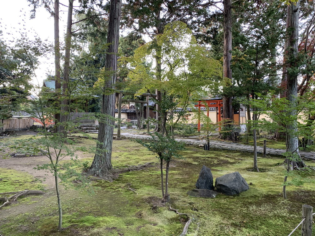 鹿王院