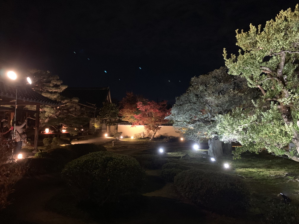 鹿王院