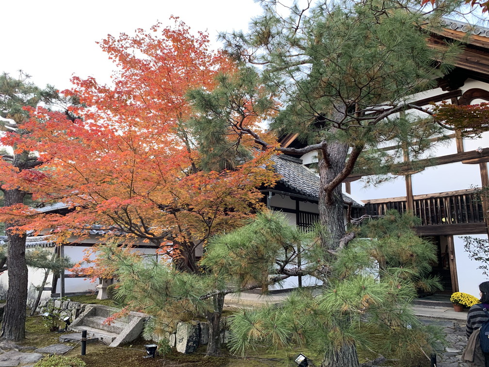 鹿王院