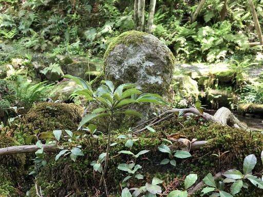 三千院
