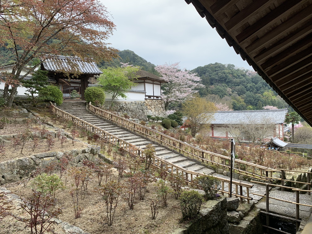 長谷寺