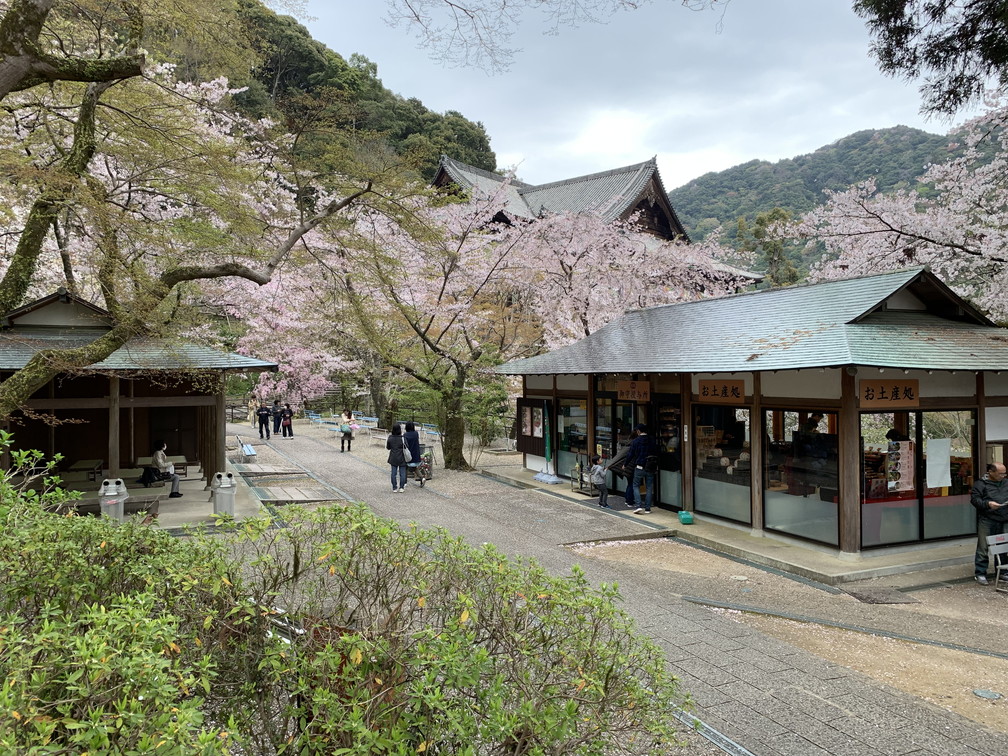 長谷寺