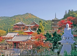 南法華寺(みなみほっけじ)