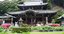 三室戸寺(みむろとじ)